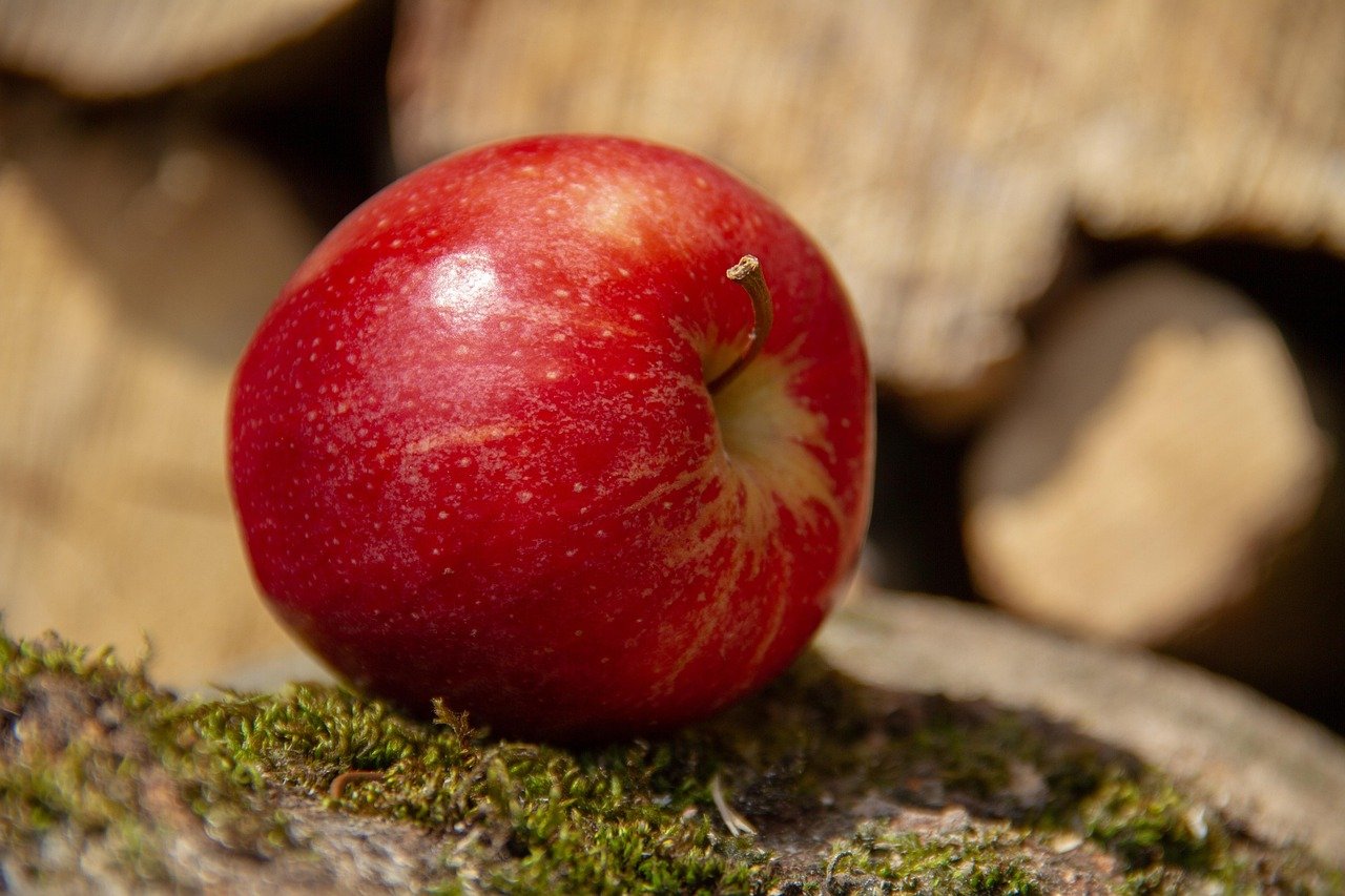 Vitamins and Minerals That Support Mental Wellness
