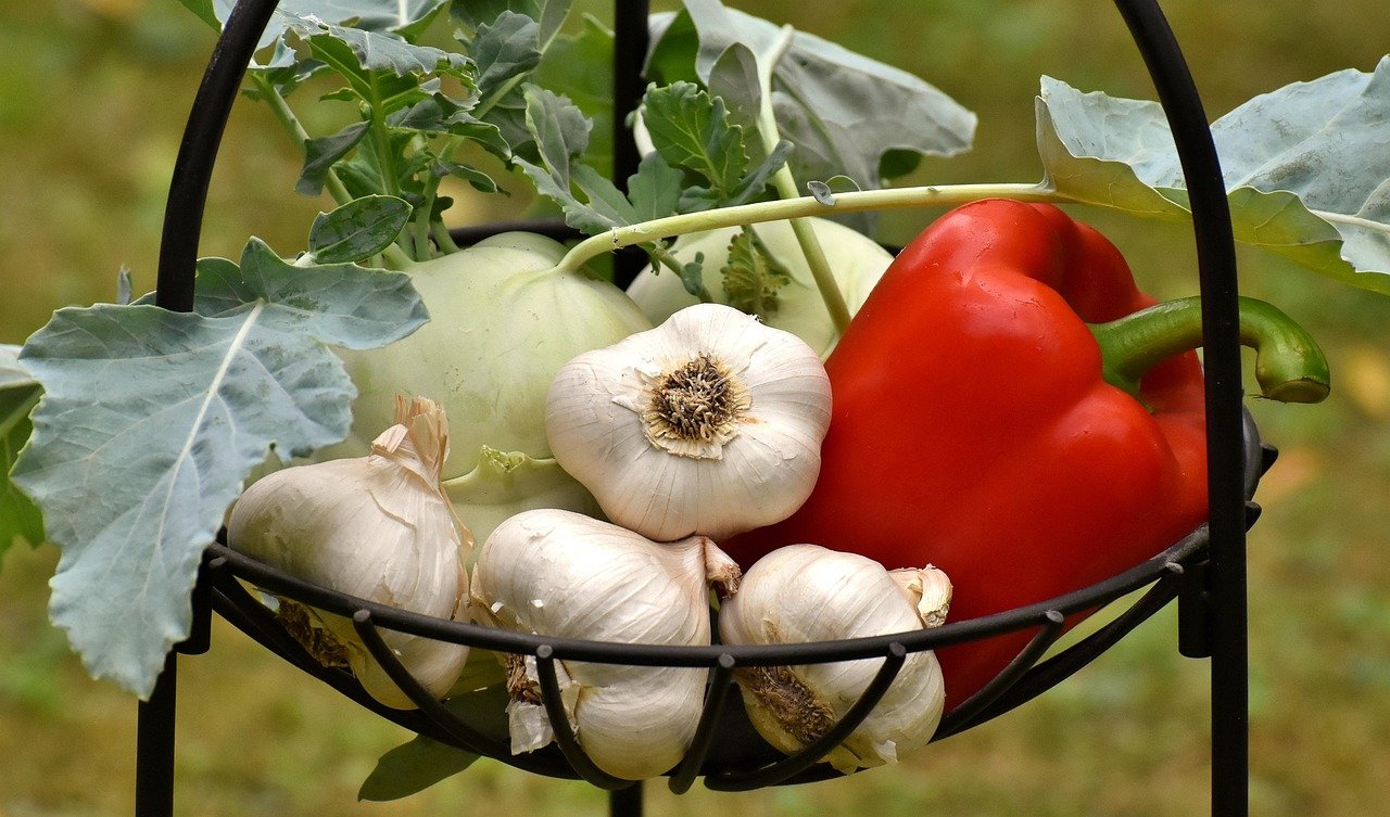 Plant Based Diets and Mental Health What You Should Know