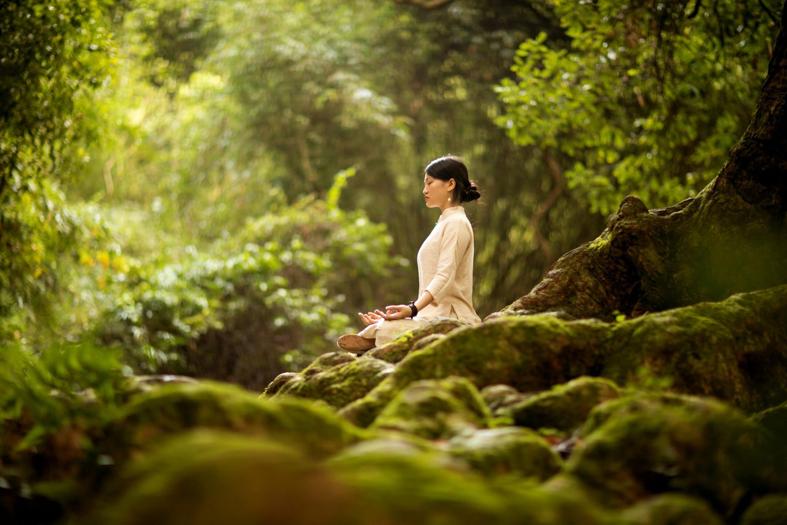 Why Mental Wellness Is a Lifelong Journey Not a Destination