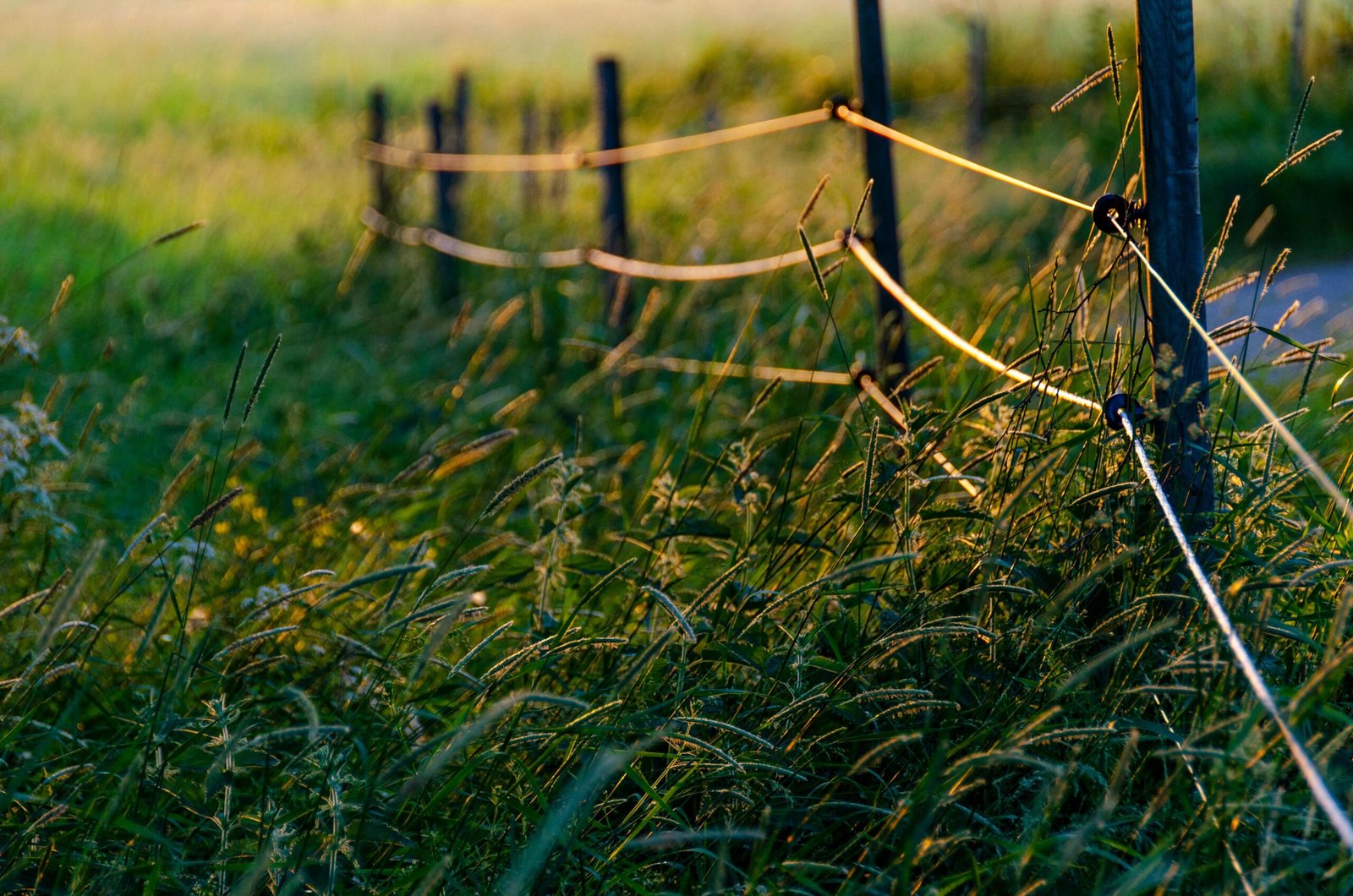 How to Set Boundaries to Protect Your Mental Energy