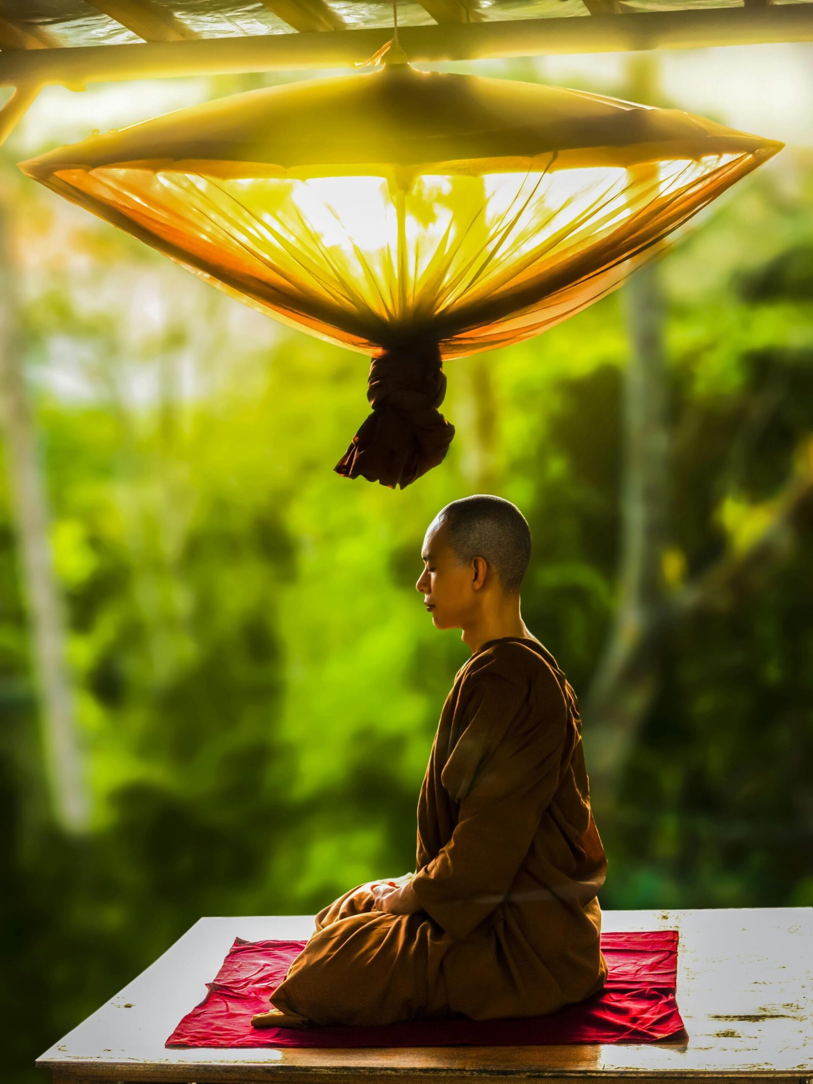 The Neuroscience Behind Emotional Wellbeing