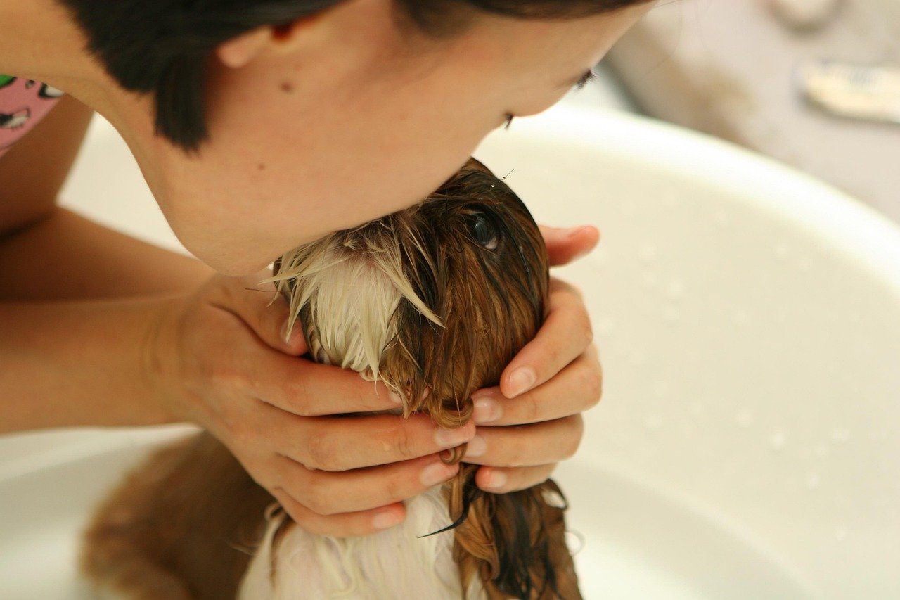 How Pets and Animals Support Mental Health